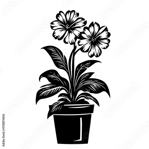 Potted daisy houseplant silhouette with blooming flowers, charming indoor décor vector illustration icon