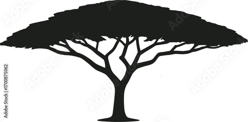 vector silhouette, acacia flat-topped savanna tree, broad horizontal crown, solid black