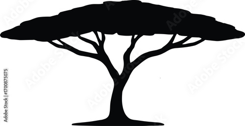 vector silhouette, acacia flat-topped savanna tree, broad horizontal crown, solid black