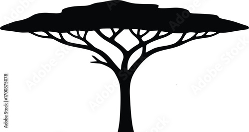 vector silhouette, acacia flat-topped savanna tree, broad horizontal crown, solid black