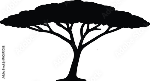 vector silhouette, acacia flat-topped savanna tree, broad horizontal crown, solid black