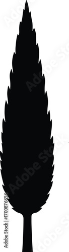 vector silhouette, cypress tree tall narrow column, solid black