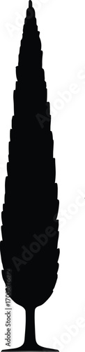vector silhouette, cypress tree tall narrow column, solid black