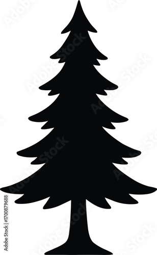 vector silhouette, pine tree tall conical form, layered branches, solid black