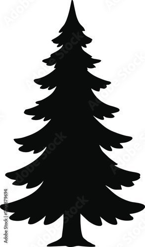 vector silhouette, pine tree tall conical form, layered branches, solid black