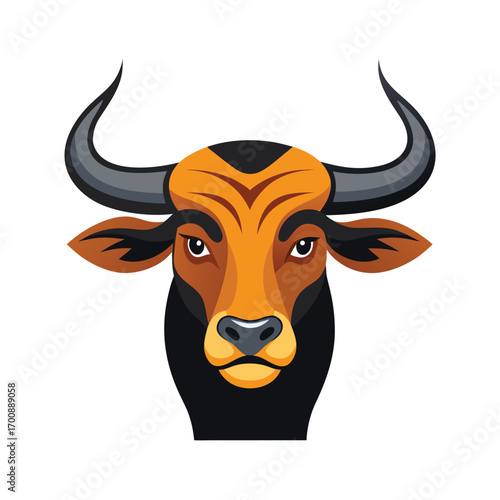 Bull with Long Horns on White Background