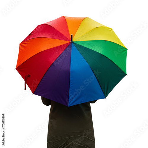 a person from the back holding a colorful umbrella
