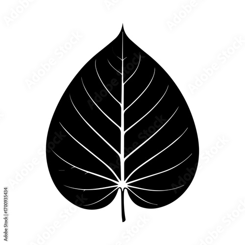 Striking black leaf silhouette with delicate white veins against a clean white background
