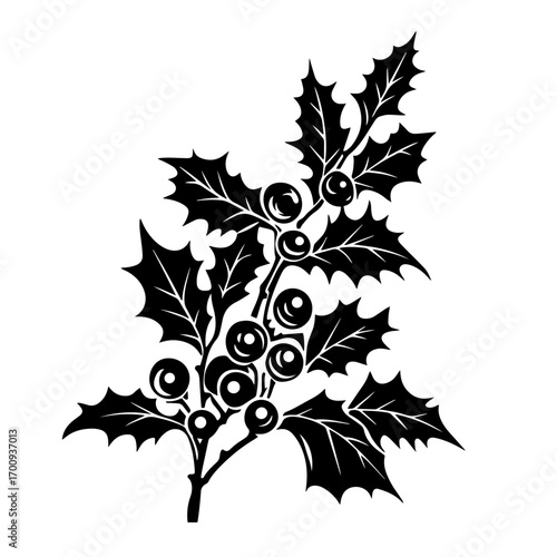 Winter holly branch silhouette with sharp leaves and berry clusters, festive Christmas botany vector icon