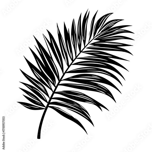 Graceful palm leaf silhouette with elegant arching frond, tropical botanical decor vector illustration icon
