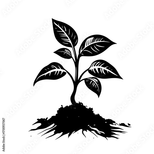 Young plant sprout silhouette growing from soil, eco sustainability concept vector illustration icon