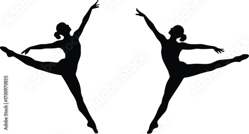 Ballet dancers, ballet silhouette, graceful dancers, dance pose, ballet performance, elegant dance, female ballet, dance art, ballet