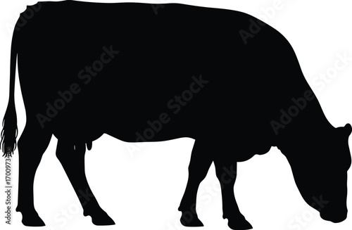 Grazing cow silhouette vector, black farm animal clipart, livestock illustration for agriculture, rural life, dairy, and pasture themes.