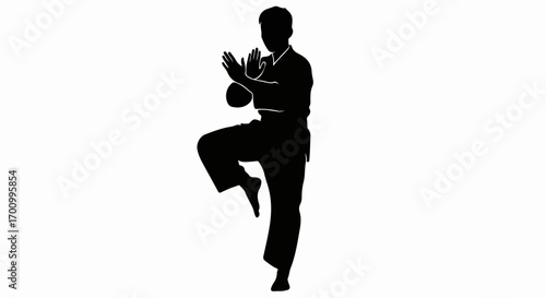 Dynamic Martial Arts Silhouette, Raised Leg and Defensive Hands in Fighting Stance