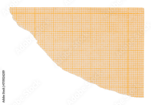 Wallpaper Mural Torn corner of orange millimeter graph paper sheet with grid, isolated collage element for design Torontodigital.ca