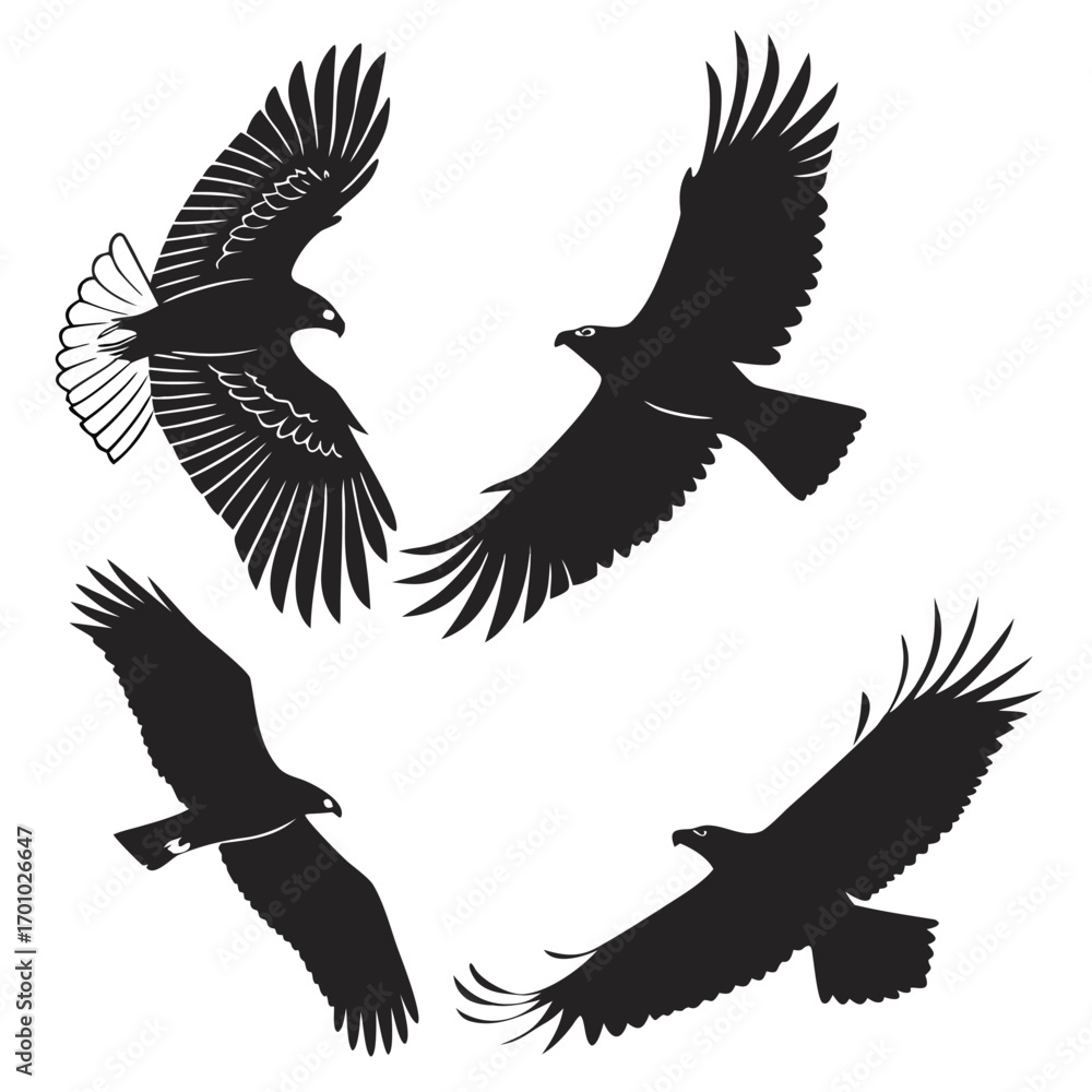 Obraz premium Four silhouettes of eagles in flight against a white background