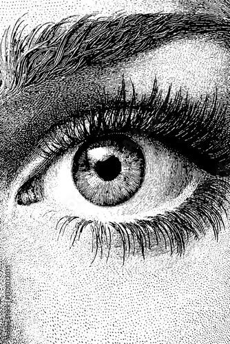 Vintage engraving style illustration of female eye for retro design