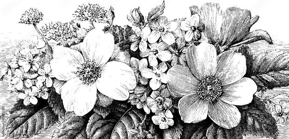 custom made wallpaper toronto digitalVintage floral bouquet engraving for retro design