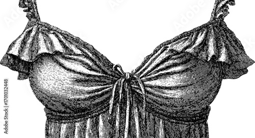 Vintage engraving style illustration of draped fabric with folds and frills