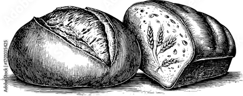 Vintage engraving style illustration of loaf of bread for culinary design