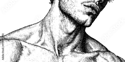 Vintage engraving style illustration of male shoulder and neck anatomy for retro design
