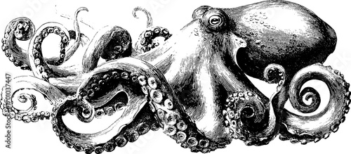 Vintage octopus illustration in engraving style for nautical decor