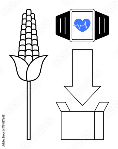 Corn stalk, smartwatch showing heart rate, downward arrow to box emphasize technology, agriculture, sustainability. Ideal for food tech, health tracking, eco-packaging, smart farming innovation