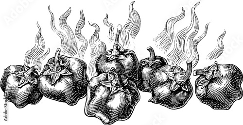 Vintage engraving style illustration of bell peppers on fire - retro design for culinary prints