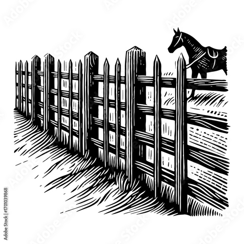 Rural Horse Standing Behind a Traditional Picket Wooden Fence Black and White Outline Line Art Drawing