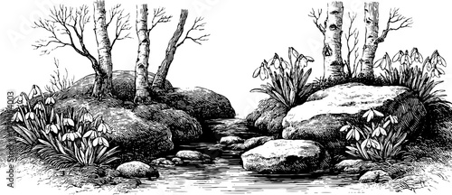Vintage engraving style illustration of snowdrops by a stream in early spring
