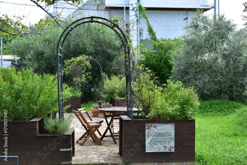 岡山　中国地方　牛窓オリーブ園