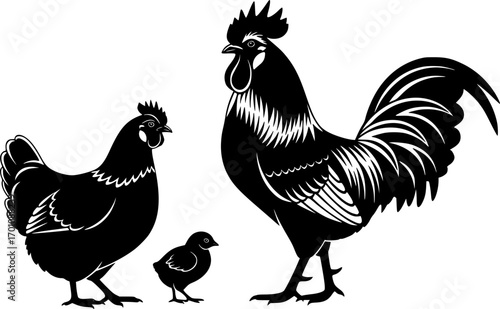 silhouette vector of  rooster; chicken; hen in illustration in brush stroke painting,
 on white background svg png