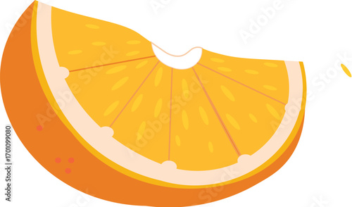 slice of orange fruit