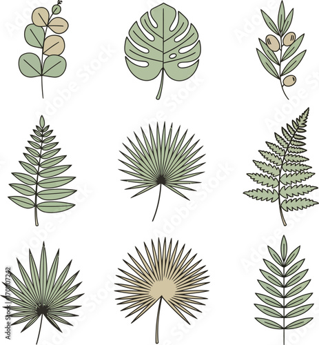 Collection of nine unique botanical leaf designs for nature themed decor and graphics vector
