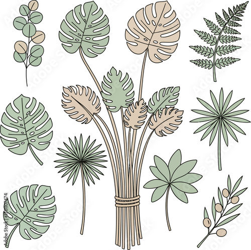 Botanical sketch collection elegant leaf designs for nature-inspired artistry and decor vector