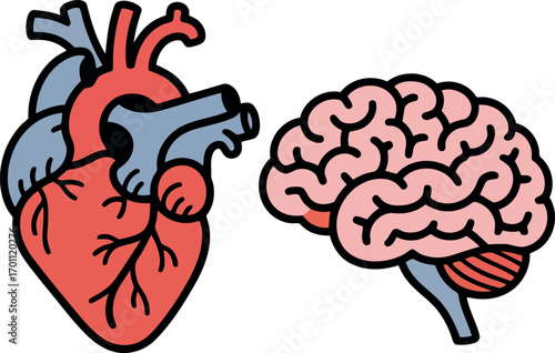 This image clearly depicts the human heart and brain side-by-side in a simplified, anatomical illustration style.