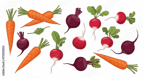 Freshly Harvested Root Vegetables in a Clean, Minimalist Style, Ideal for Promoting Healthy Eating, Farm-to-Table Concepts, or Educational Resources About Nutrition