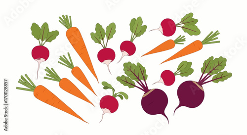 Vibrant and Fresh Carrots, Radishes, and Beets Illustration for Healthy Eating and Farm-to-Table Concepts and Culinary Illustrations