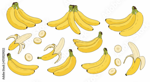 Fresh Banana Collection Vector Illustration for Nutritional Guides, Healthy Recipes, and Tropical Fruit Themed Designs, ideal for food blogs and educational materials.