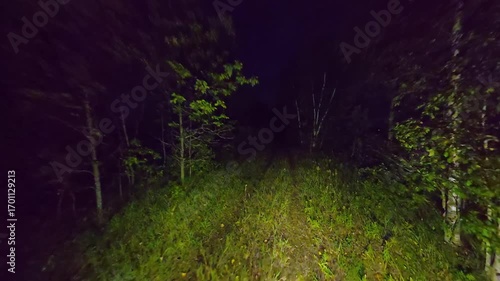 POV walking in dense woods at night in fear. Running from in the dark forest woodland trail. Escape in scary dark mysterious forest or haunted forest. Halloween horror background.
