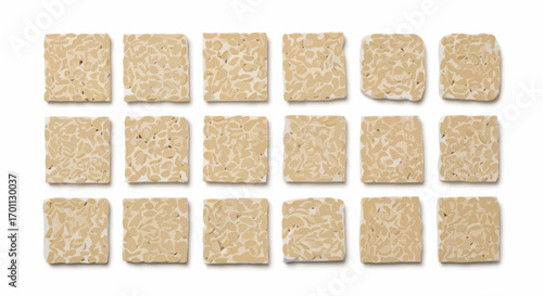 Array of Fresh Tempeh Squares Isolated on White Background, Perfect for Illustrating Vegan Recipes, Healthy Eating, and Sustainable Food Choices