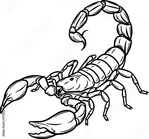 silhouette vector of scorpion isolated on white background svg png