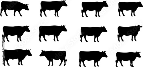 cow silhouette Vector set, cattle silhouettes, diverse breed of cows. Ideal for farm, ranch branding. Perfect for logos, decals. Black, white background. Bulls, cows, standing, walking, running