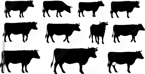 cow silhouette Vector set, cattle silhouettes, diverse breed of cows. Ideal for farm, ranch branding. Perfect for logos, decals. Black, white background. Bulls, cows, standing, walking, running