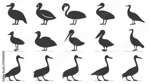 Group of Waterfowl and Wading Bird Silhouettes icon