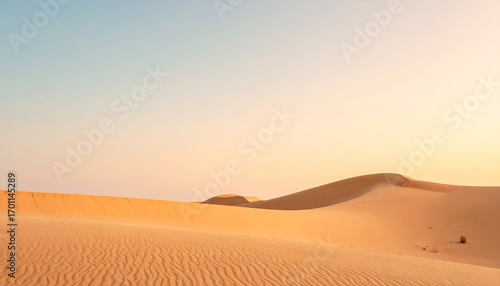 Fototapeta Naklejka Na Ścianę i Meble -  Golden Desert Dunes at Sunset