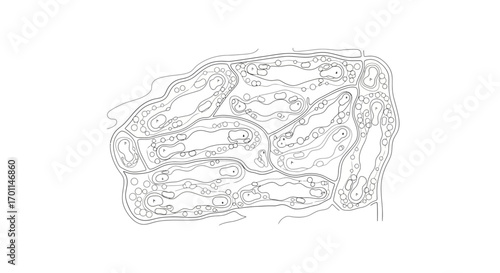 Architectural Diagram of Golf Course with Fairways and Greens