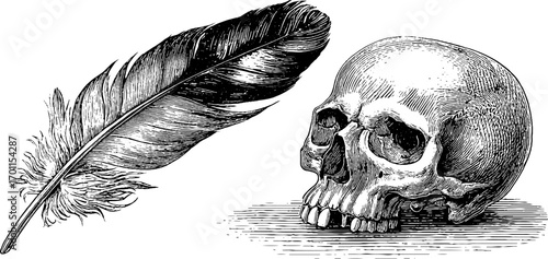 Vintage engraving style illustration of a crow feather and skull for retro designs