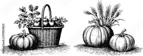 Vintage harvest illustration with basket of apples and pumpkins for autumn decoration