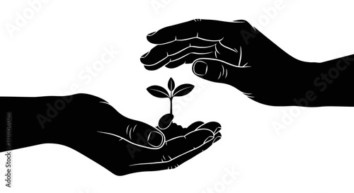 Silhouette of hands cradling and protecting a small, growing plant, symbolizing care.